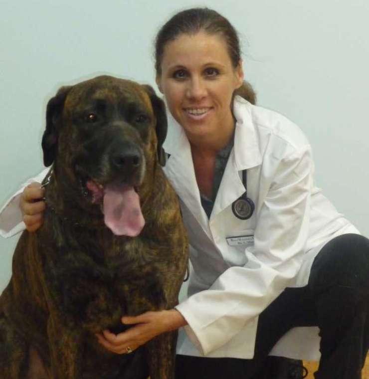 Dr. Lesley Hack, Veterinarian